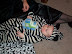 29 weeks Halloween.JPG