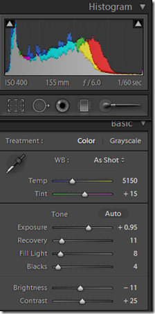 Basic adjustments
