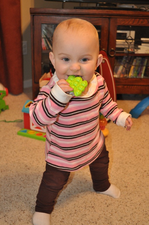 [DSC_6002[6].jpg]