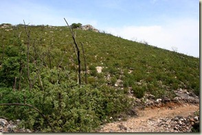 IMG_5767 IMG_5767