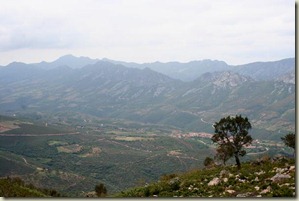 IMG_5870 IMG_5870