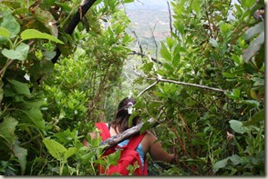 IMG_5978 IMG_5978