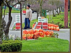 DSCN2812