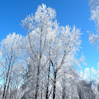 2.1.2010 - Land of the Frozen Fog, one of the many benefits of living on top of a mountain!