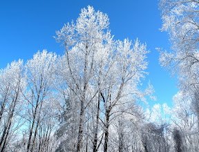 2.1.2010 - Land of the Frozen Fog, one of the many benefits of living on top of a mountain!