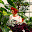 DSCN9233.JPG