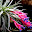 DSCN9228.JPG