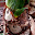 DSCN9181.JPG