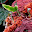 DSCN9186.JPG