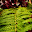 DSCN9140.JPG