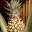 DSCN9142.JPG