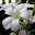 DSCN9153.JPG