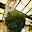 DSCN9169.JPG