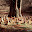 DSCN9260.JPG