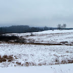 Danby, NY
