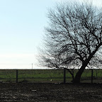 DSCF5942.JPG