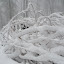 New Photos_1852.JPG
