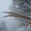 New Photos_1894.JPG