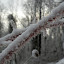 New Photos_1674.JPG