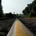 New Photos_4117.JPG
