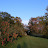 2009 The wedding gazebo
