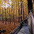 2008 There's a staff hammock hidden out in the woods ... reason number 10 for the best job ever!
