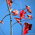 DSCN2395.JPG