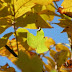 DSCN2406.JPG
