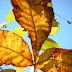 DSCN2410.JPG