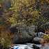 DSCN2911.JPG