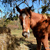 It's a fine day on the Fairview farm wouldn't yah say.
