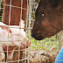 DSCN2117.JPG
