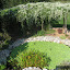 kerryg's Patio garden
