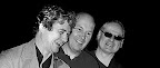 FIFESTOCK - Souped up Fords