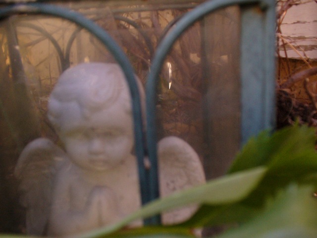 [Jan.2010 thrift shopping garden 033[5].jpg]