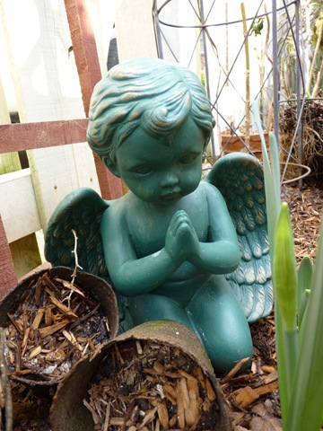 [March 2010 Angels & empty pots 018[4].jpg]