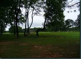 A rainy Sunday afternoon on the trails 013