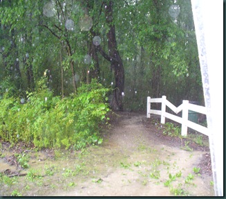 A rainy Sunday afternoon on the trails 024