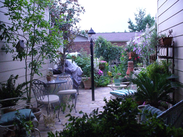 [Late summer flowers 2009 010[5].jpg]