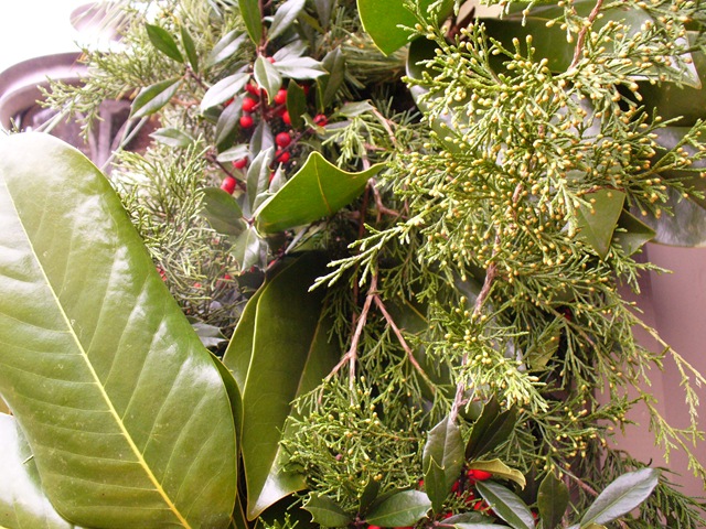 [Christmas 2009 062[7].jpg]