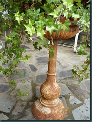 My garden as it wanes 2010 004