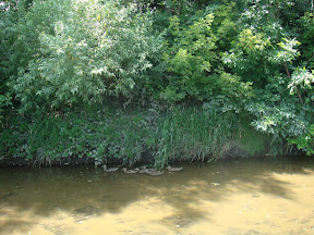 Liye 033.jpg