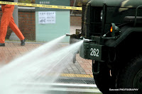 DSC_7984.JPG