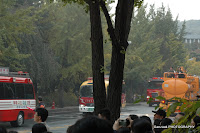 DSC_7991.JPG