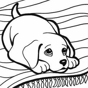 Perro Para Dibujar