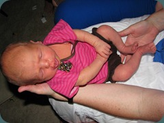 IMG_4098 IMG_4098