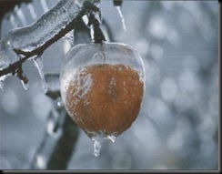 ice-storm