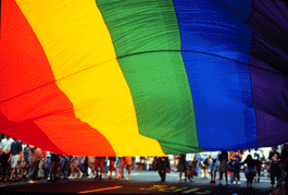 [stonewall25[11].gif]