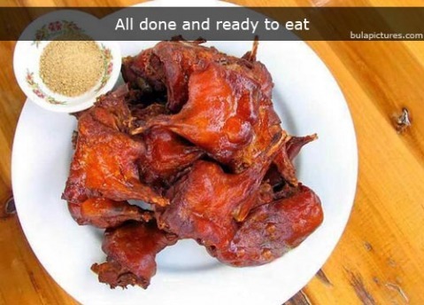 [rat_for_dinner_0073.jpg]