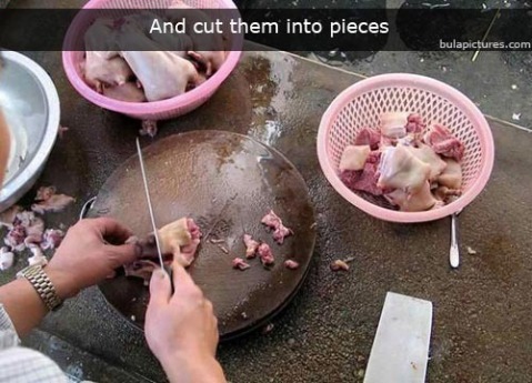 [rat_for_dinner_0044.jpg]